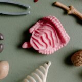 Flat lay of various educational plastic anatomy models including organs and bones for study.